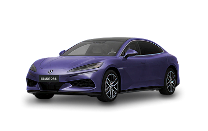 Denza Z9
